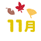 11月